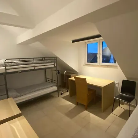 Ap1 Am Zoo * 布伦瑞克