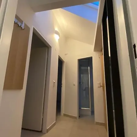 Ap1 Am Zoo Appartement